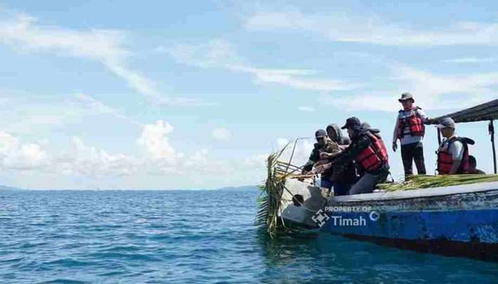 PT Timah Dorong Kelestarian Pesisir dan Hasil Tangkapan Nelayan