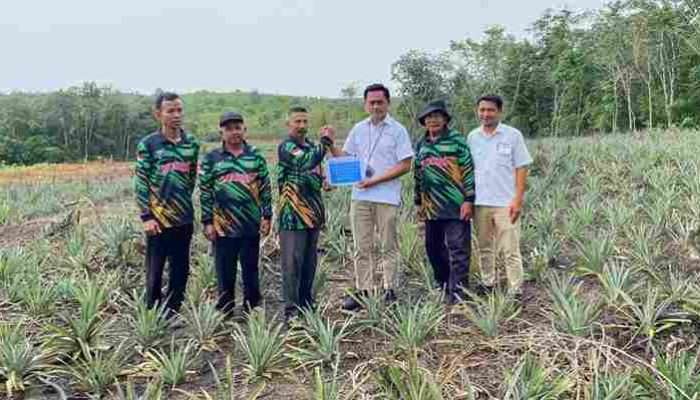 Perkuat Ekonomi Masyarakat, PT Timah Bantu Petani di Kundur Lewat Bibit Tanaman