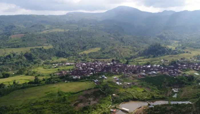 Hutan Adat Marga Sumsel Perlu Diangkat