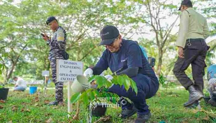 PT Timah Tbk Laksanakan Program 1000 Pohon Untuk Negeri