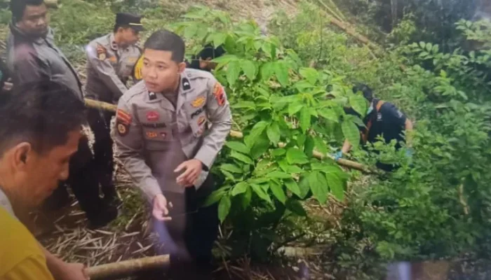 Bayi Terpotong Tiga Ditemukan di Bibir Jurang Ngarai Sianok