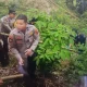 Bayi Terpotong Tiga Ditemukan di Bibir Jurang Ngarai Sianok