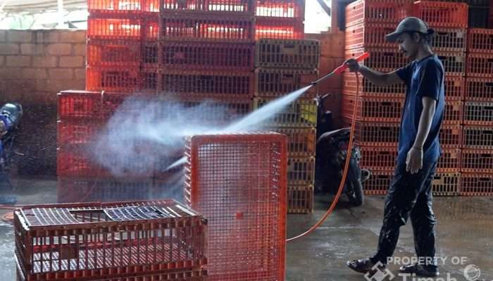 PT TIMAH Tbk Serahkan Mesin Steam untuk Usaha Ayam Potong di Pangkalpinang