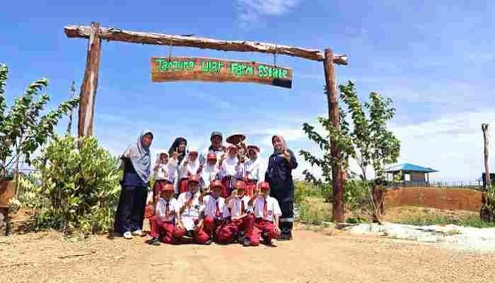 Farm Estate PT Timah Tbk Jadi Sarana Edukasi Pelajar tentang Pertanian Produktif