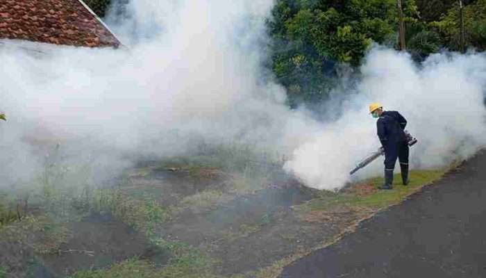 PT Timah Tbk Lakukan Fogging dan Sosialisasikan 3M untuk Cegah DBD