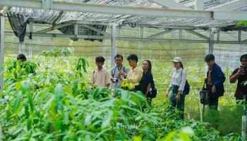 Duta Minerba Terpukau Melihat Pertambangan Berkelanjutan PT Timah Tbk