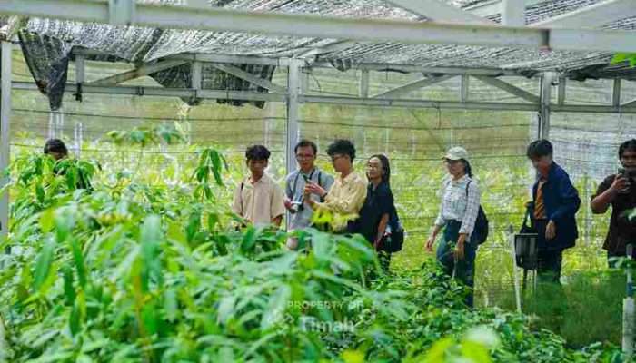Duta Minerba Terpukau Melihat Pertambangan Berkelanjutan PT Timah Tbk