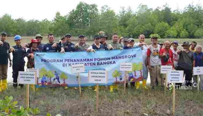 PT Timah Tbk Tanam 5000 Bibit Mangrove di Pantai Takari