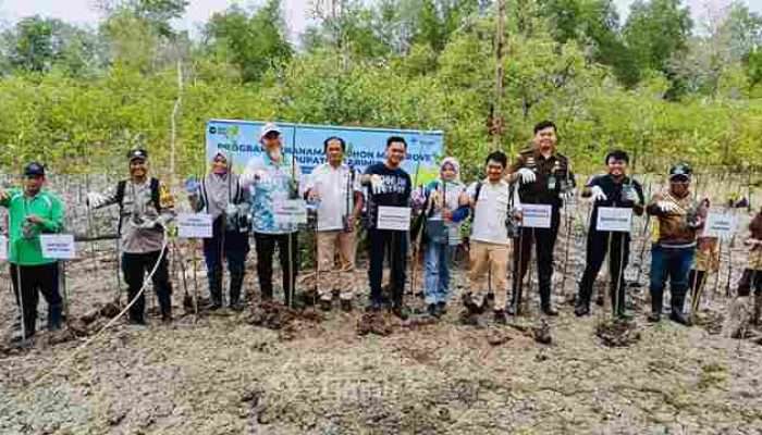 PT Timah Tbk Tanam Ribuan Mangrove di Pantai Kobel Kundur