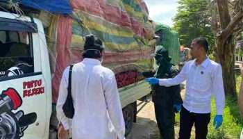 Balai Karantina dan Polres Bangka Barat Periksa Barang Penumpang di Pelabuhan
