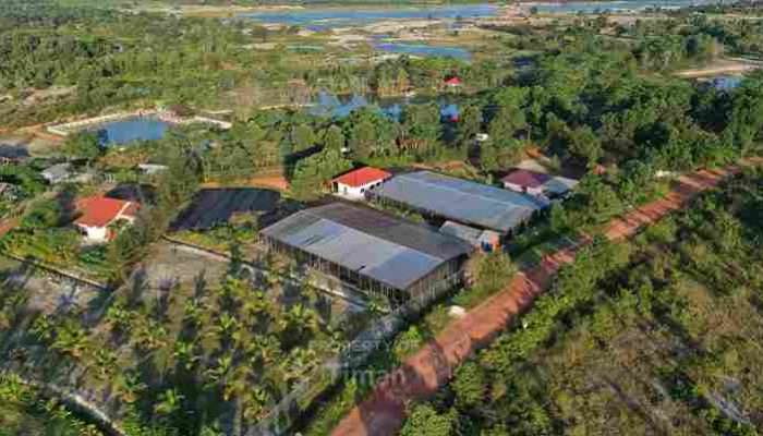 PT Timah Tbk Perbaiki Lingkungan dengan Penanaman Mangrove dan Reklamasi