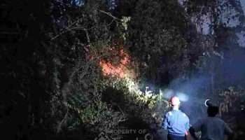 PT Timah Tbk Bergerak Cepat Bantu Warga Padamkan Kebakaran Lahan