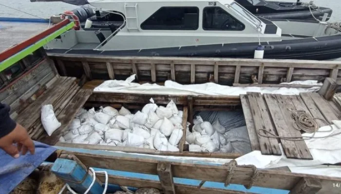 Tim Gabungan Gagalkan Penyeludupan 25 Ton Pasir Timah