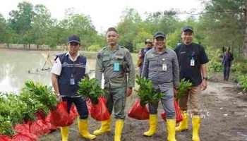 PT Timah Tbk Tanam Belasan Ribu Mangrove di Kundur dan Meranti untuk Jaga Ekosistem Pesisir