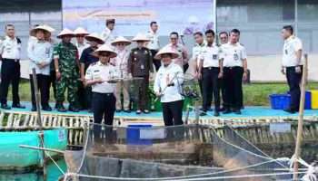 Pemkab Banyuasin Bersama Lapas Kelas IIA Banyuasin Panen Ikan dan Sayur Pakcoy