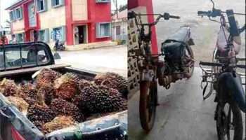 Satreskrim Polres Banyuasin Ungkap Kasus Pencurian Buah Sawit milik PT Sawit Mas Sejahtera