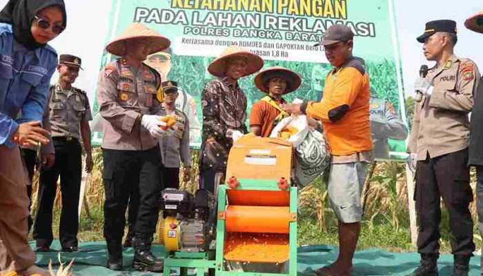 Polres Bangka Barat Panen Jagung Program Ketahanan Pangan