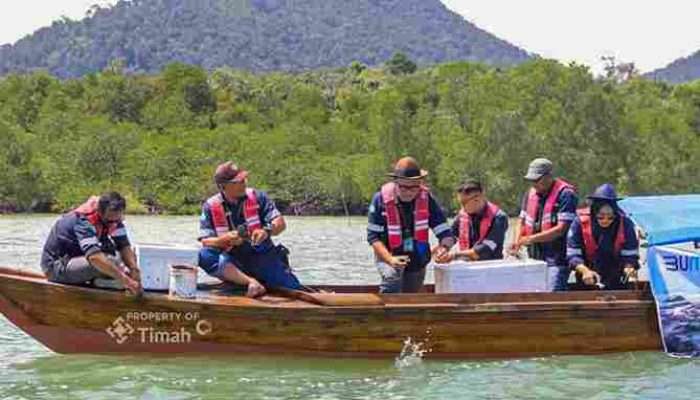 Jaga Ekosistem dan Ekonomi Pesisir, PT TIMAH (Persero) Tbk Restocking 1.400 Kepiting Bakau di Perairan Kepulauan Riau