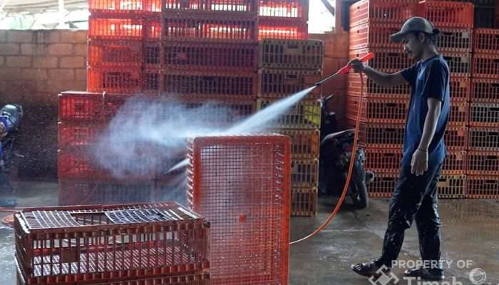 PT TIMAH Siapkan Beragam Program untuk Bantu Pengembangan UMKM