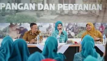 PKK Pangkalpinang Aktif di Rakon PKK Babel 2026, Perkuat Sinergi dan Edukasi Masyarakat