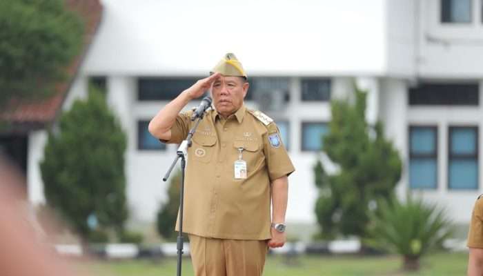 Satu Tahun Pimpin Bangka Belitung, Hidayat Arsani Raih Banyak Prestasi