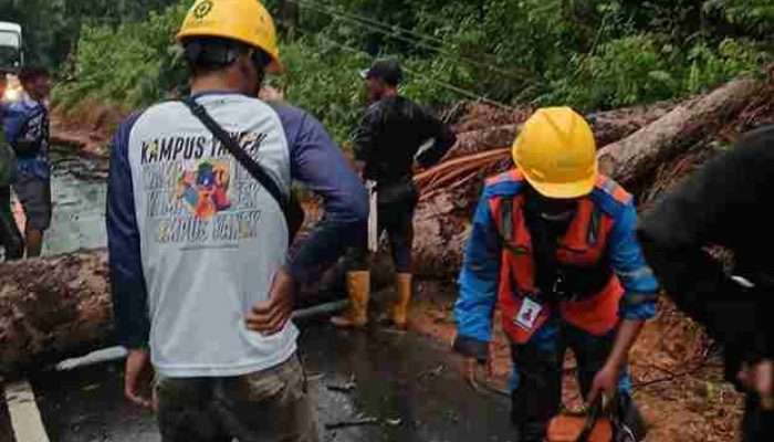 PLN Babel Pastikan Kelistrikan Bangka Belitung Telah Pulih 100 Persen