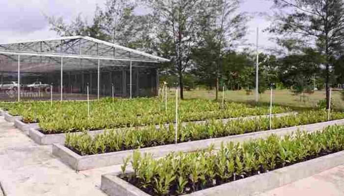 PT TIMAH Reklamasi Ratusan Hektar Lahan Pasca Tambang di Bangka Belitung