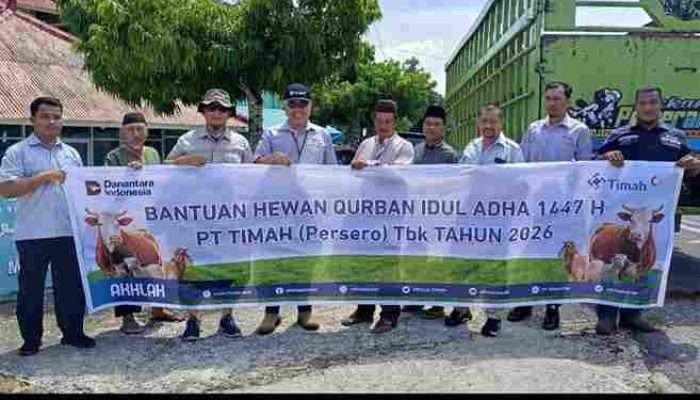 PT TIMAH Salurkan Bantuan 39 Ekor Sapi Kurban di Kabupaten Bangka Barat