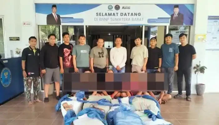 BNNP Sumbar Tangkap 4 Pemuda Bawa 150 Kilogram Ganja