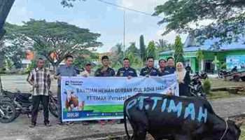 Berbagi Selama Idul Adha, Hewan Kurban PT TIMAH Menjangkau Daerah Terpencil di Provinsi Riau
