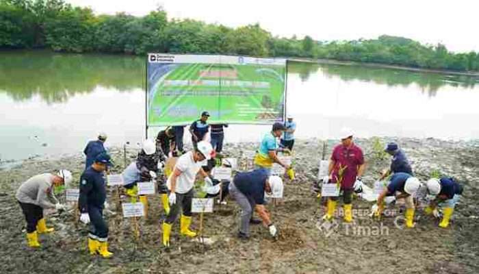 Kolaborasi PT TIMAH, Pemerintah Kabupaten Bangka dan Warga Ubah Kolong AKHLAK Jadi Kawasan Produktif
