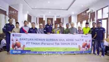 PT TIMAH Distribusikan Hewan Kurban untuk 20 Masjid di Bangka Tengah