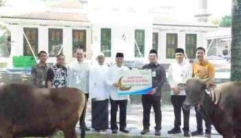 Bank Sumsel Babel Distribusikan Hewan Kurban ke Masyarakat Sumsel dan Babel