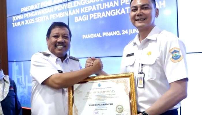 RSUD Depati Hamzah Sabet Penghargaan Ombudsman, dr Thamrin: Jadi Motivasi Kami