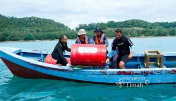 PT Timah Kembali Tebar Harapan Lewat Restocking Cumi di Bangka