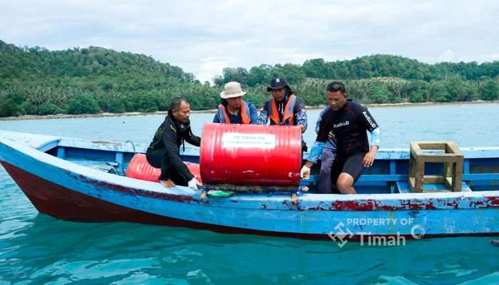 PT Timah Kembali Tebar Harapan Lewat Restocking Cumi di Bangka