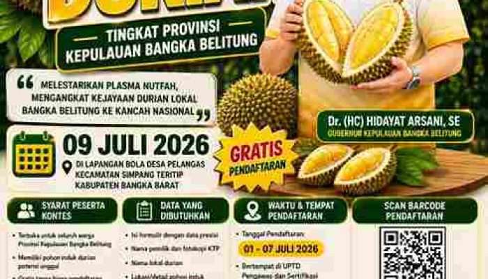 Gubernur Bangka Belitung Dorong Durian Lokal Tembus Pasar Nasional