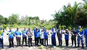 PLN UIW Babel Pulihkan Pesisir Pantai Temberan, Tanam 4.000 Bibit Kelapa dan Mangrove