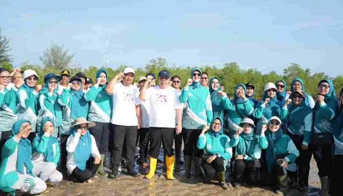 Pemprov Babel Gelar Aksi Tanam Mangrove di Hari Lingkungan Hidup Sedunia