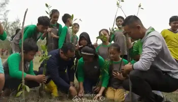 PT TIMAH Tanam Pohon Produktif untuk Tingkatkan Nilai Ekonomi Lahan Reklamasi