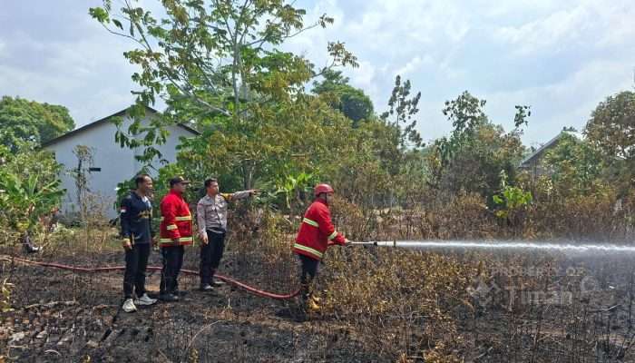 Si Jago Merah Mengamuk, PT TIMAH Kerahkan Tim dan Armada Padamkan 97 Karhutla