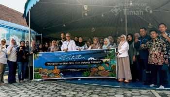 PT TIMAH Sulap Potensi Ikan Lokal Jadi Peluang Bisnis bagi UMKM Bangka Barat