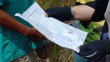 SKT dan SP3T Muncul di Lahan Sawah Bersertifikat, Kelompok Tani Serdang Pertanyakan Legalitasnya