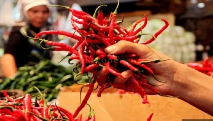 Harga Cabai Merah Rp46.160 per kg, Telur Ayam Rp28.800 per Kg