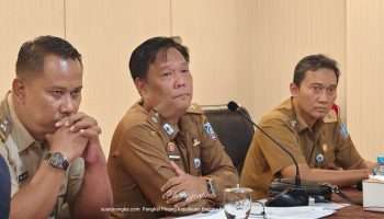 Wagub Babel Hellyana Diberhentikan Sementara, Tugas Dialihkan kepada Gubernur