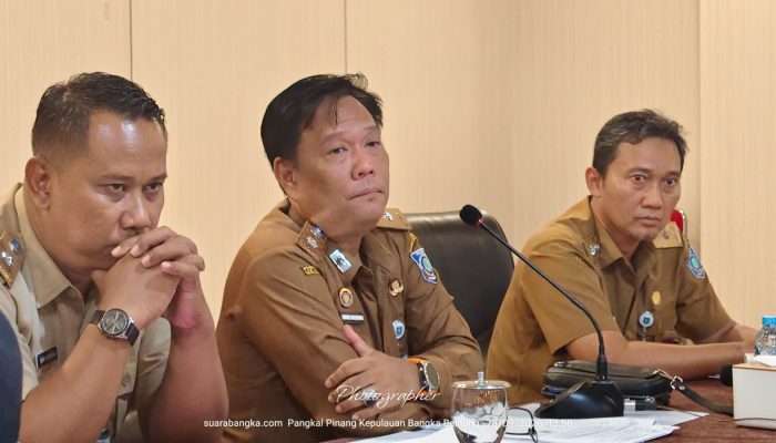 Wagub Babel Hellyana Diberhentikan Sementara, Tugas Dialihkan kepada Gubernur