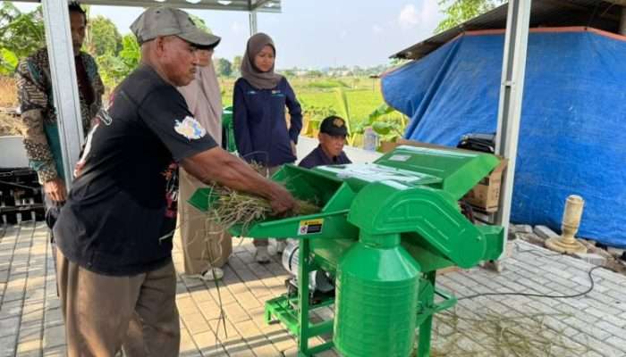 Electrifying Agriculture PLN Bantu Jaga Produktivitas Petani di Musim Kemarau