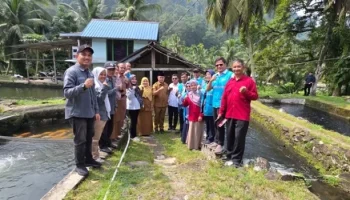 Resmikan Program TJSL di Agam, PLN UID Sumbar Perkuat Usaha Budidaya Ikan Masyarakat