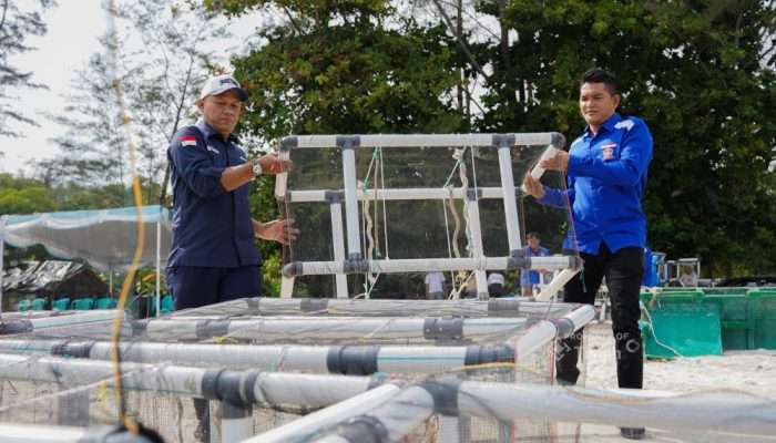 Jaga Ekosistem Pesisir, PT Timah Tbk Bersama HNSI Tenggelamkan 81 Atraktor Cumi di Perairan Bangka
