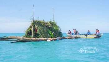 PT TIMAH Tbk Perkuat Ekosistem Pesisir Bangka Belitung Melalui Penataan Habitat dan Restocking Cumi-Cumi